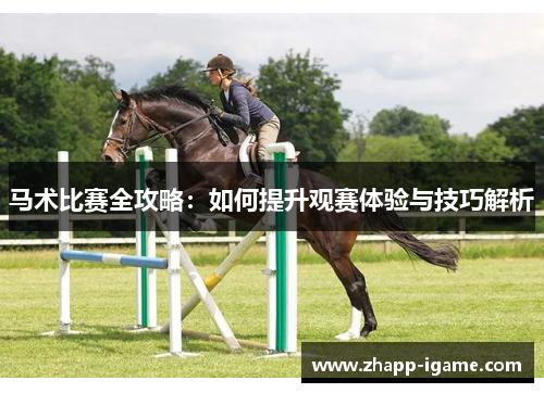 马术比赛全攻略：如何提升观赛体验与技巧解析