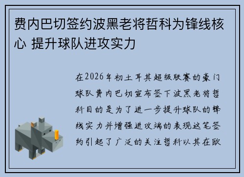 费内巴切签约波黑老将哲科为锋线核心 提升球队进攻实力 费内巴切签约波黑老将哲科为锋线核心 提升球队进攻实力