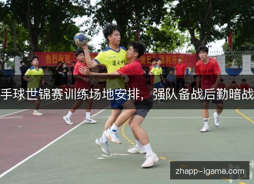 手球世锦赛训练场地安排，强队备战后勤暗战